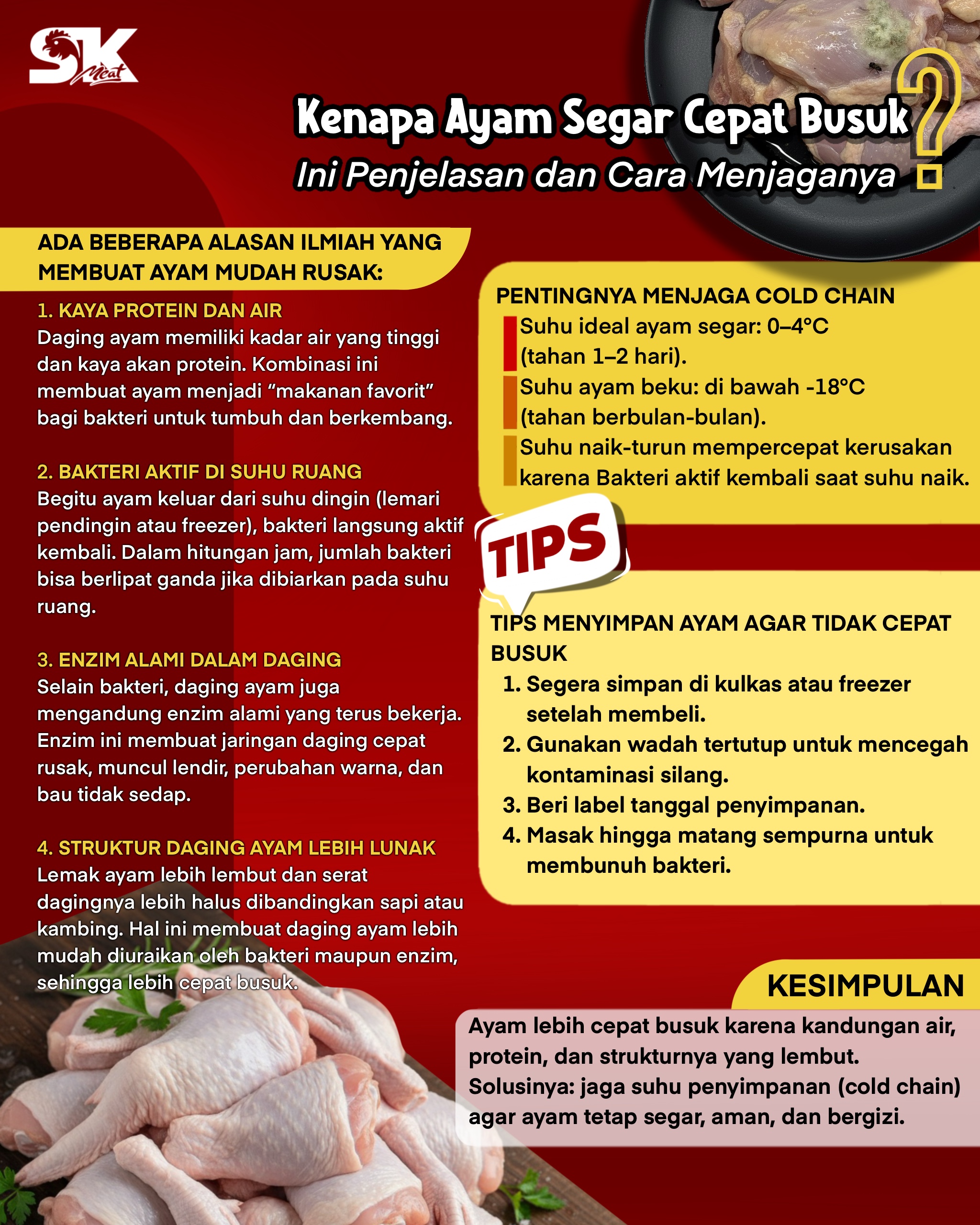 Kenapa Ayam Segar Cepat Busuk? Ini Penjelasan dan Cara Menjaganya