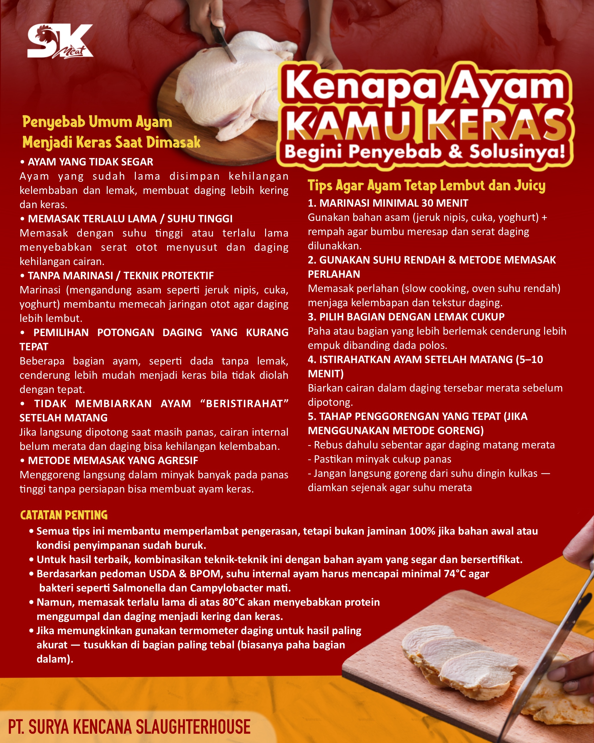 Kenapa Ayam Kamu Keras? Begini Penyebab & Solusinya!